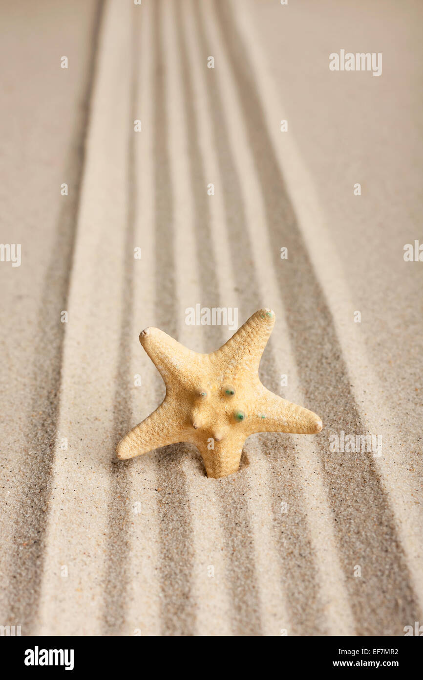 Sterne in den Sand zu stecken, kann als Hintergrund verwendet werden Stockfoto