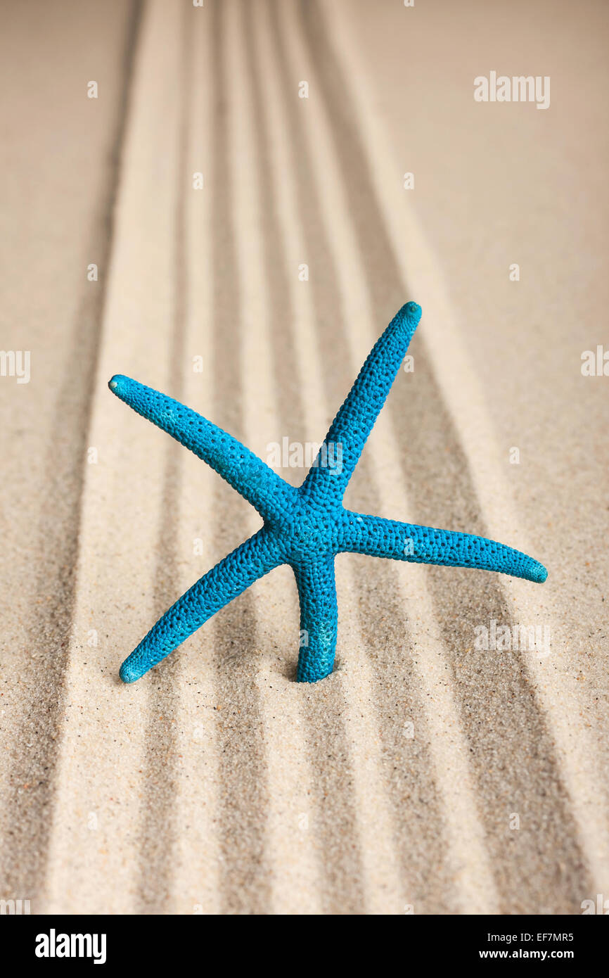 Sterne in den Sand zu stecken, kann als Hintergrund verwendet werden Stockfoto