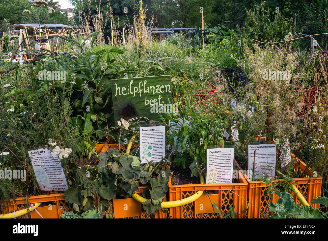 Princess Garden Kreuzberg Bio Gärtnerei, Berlin, Deutschland Stockfoto