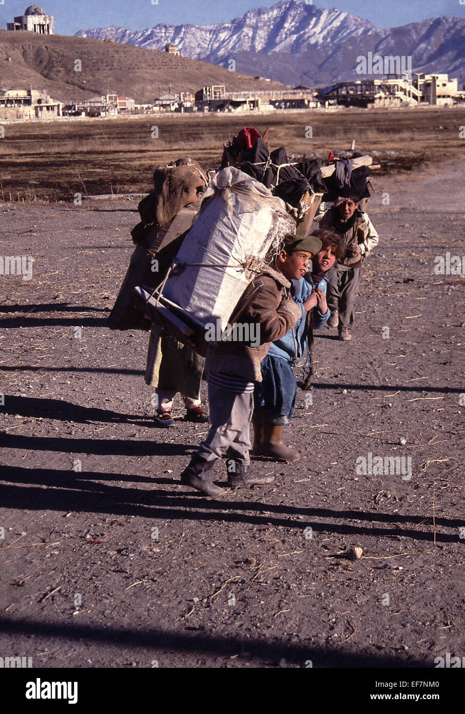 Kinder sammeln Brennholz in Kabul Afghanistan Januar 1994 Stockfoto