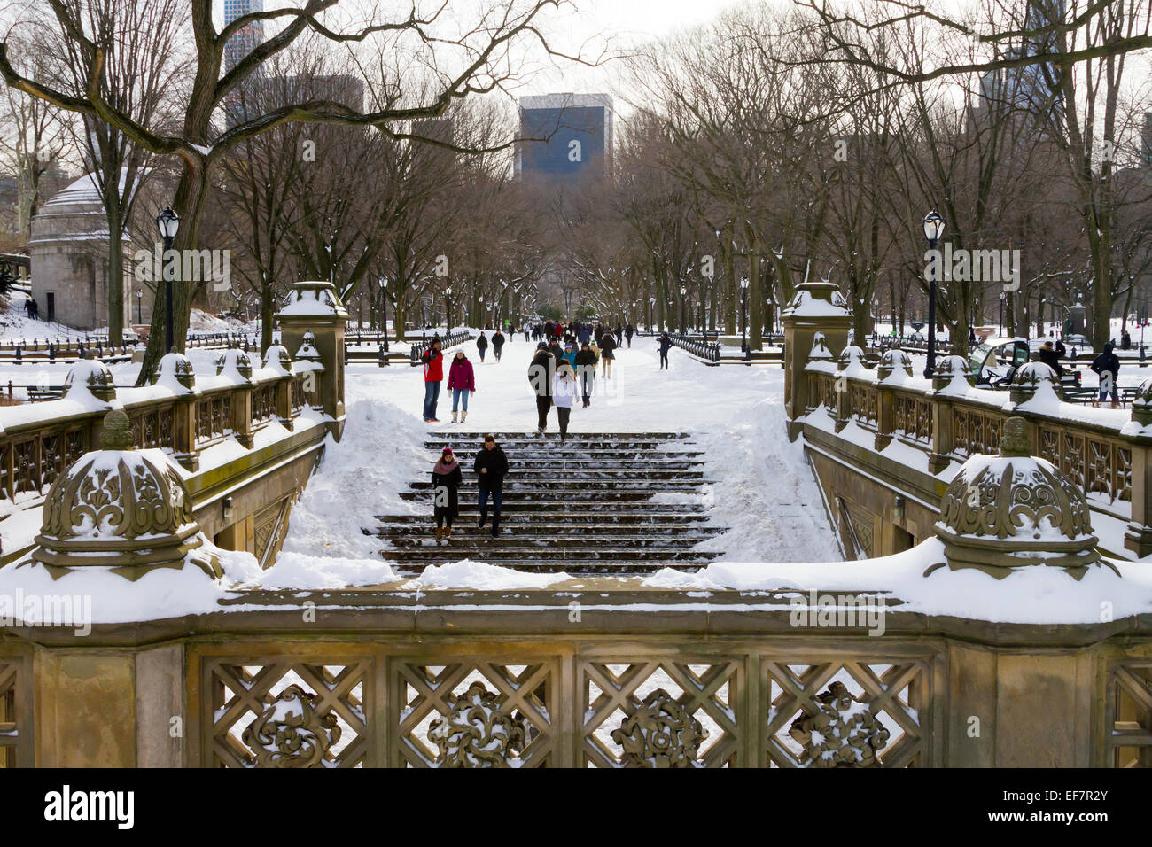 NEW YORK CITY – Januar 2015: Massen von Menschen genießen den Schneefall im Central Park nach einem großen Winter Schneesturm Stockfoto
