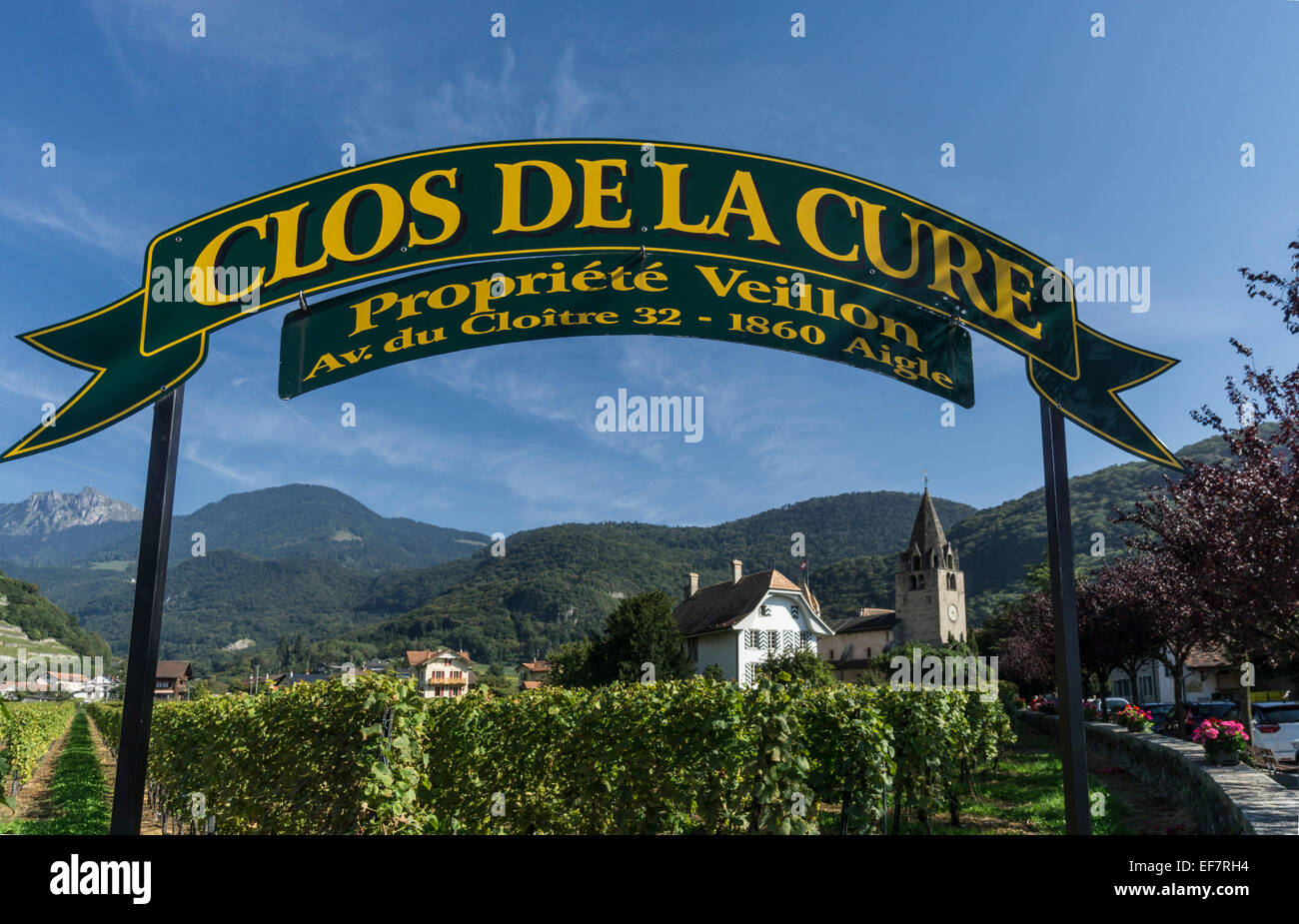 Clos del eine Heilung, Weinberge, Aigle, Region Lavaux, Genfer See, Schweizer Alpen, Schweiz Stockfoto