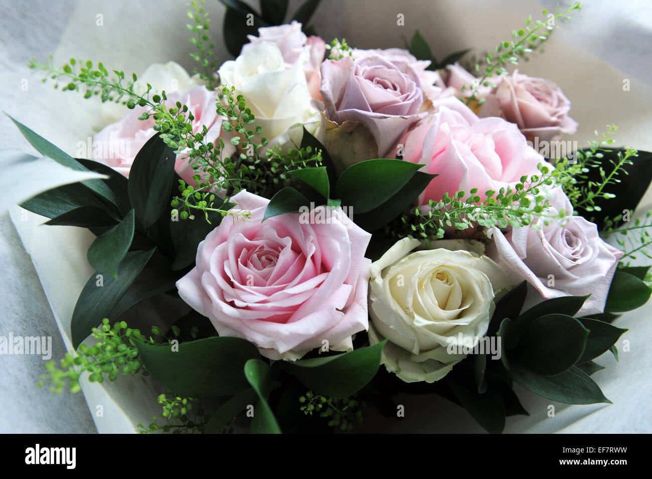 Brautstrauß gemacht frischer rosa und weißen Rosen UK Stockfoto