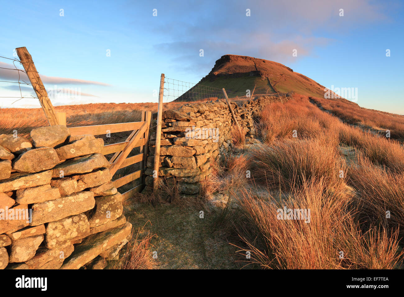 Der Gipfel von Pen-y-Ghent, einer der berühmten drei Gipfel im Yorkshire Dales National Park, England Stockfoto