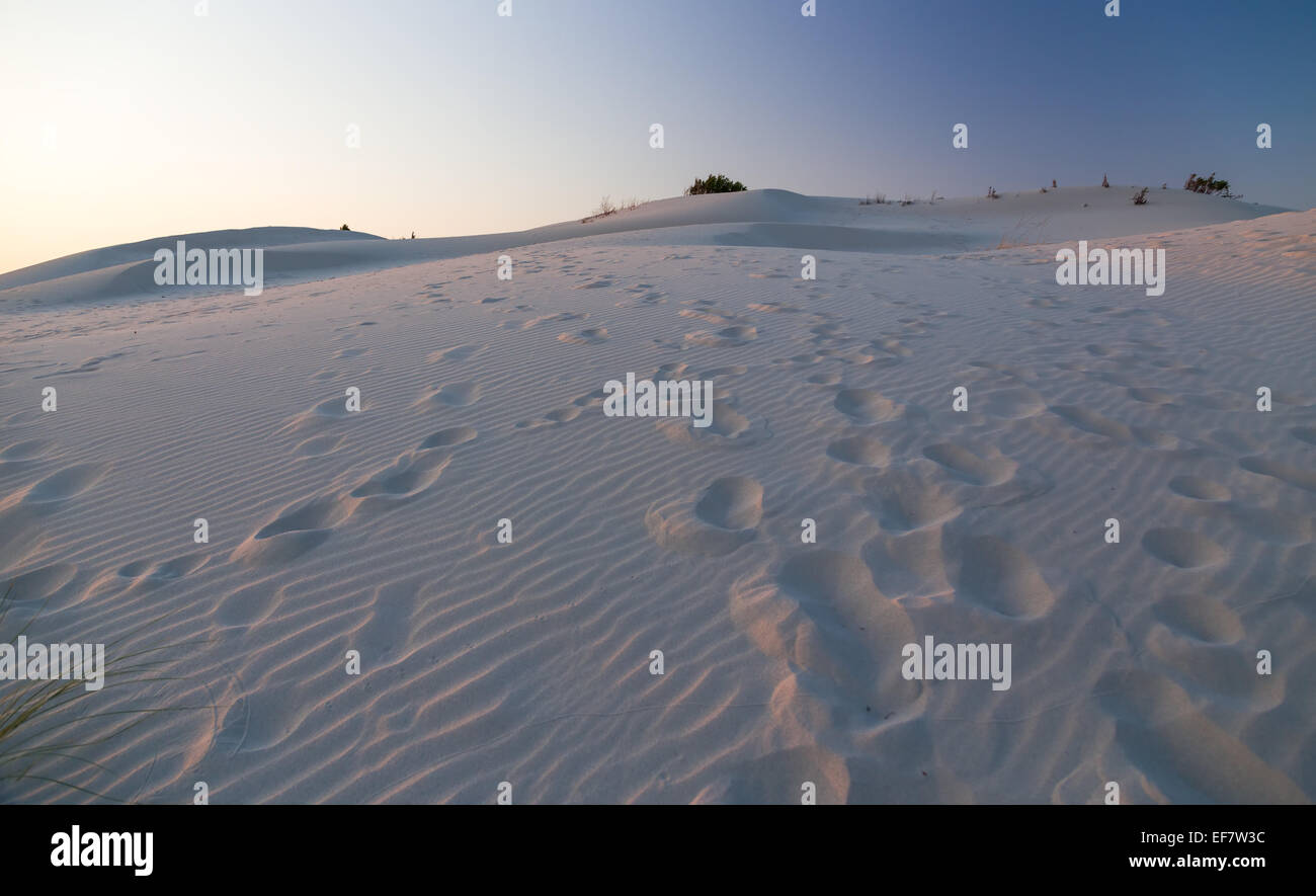 Sanddüne in den letzten Strahlen der untergehenden Sonne. Stockfoto