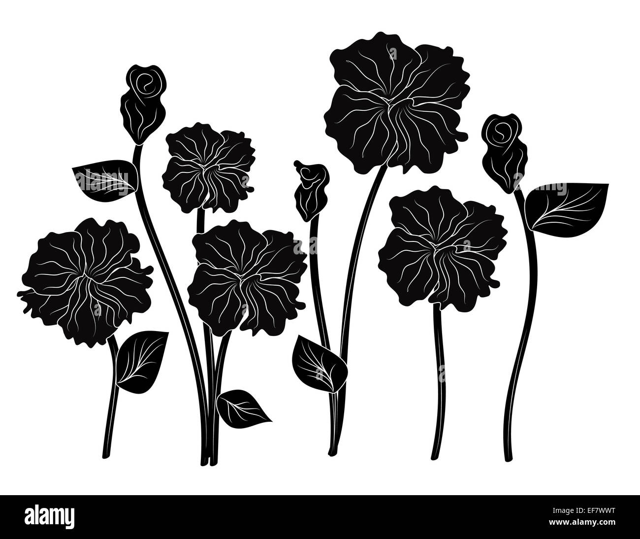 Romantische schwarz-weiß-Abbildung acht elegante Blumen für dekorative Zwecke und Liebe Themen Stockfoto