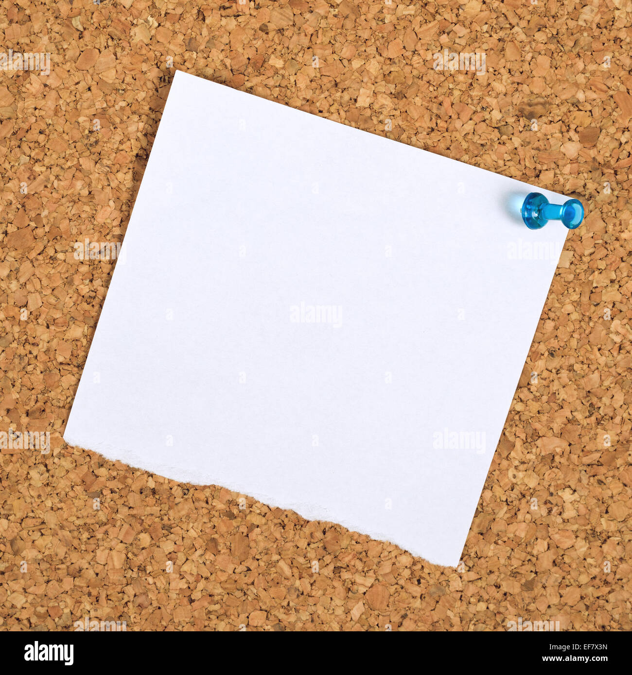 Blankopapier Notiz angeheftet an ein Kork-Speicher-Bulletin-Board als Kopie Raum für Ihre Nachricht Stockfoto