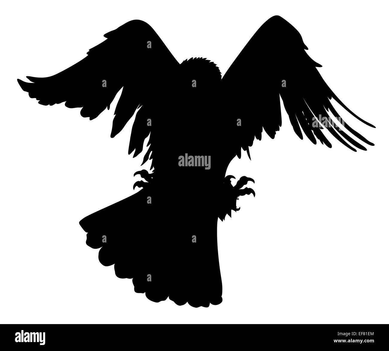 Jagd-Adler-detaillierte Vektor-silhouette Stockfoto