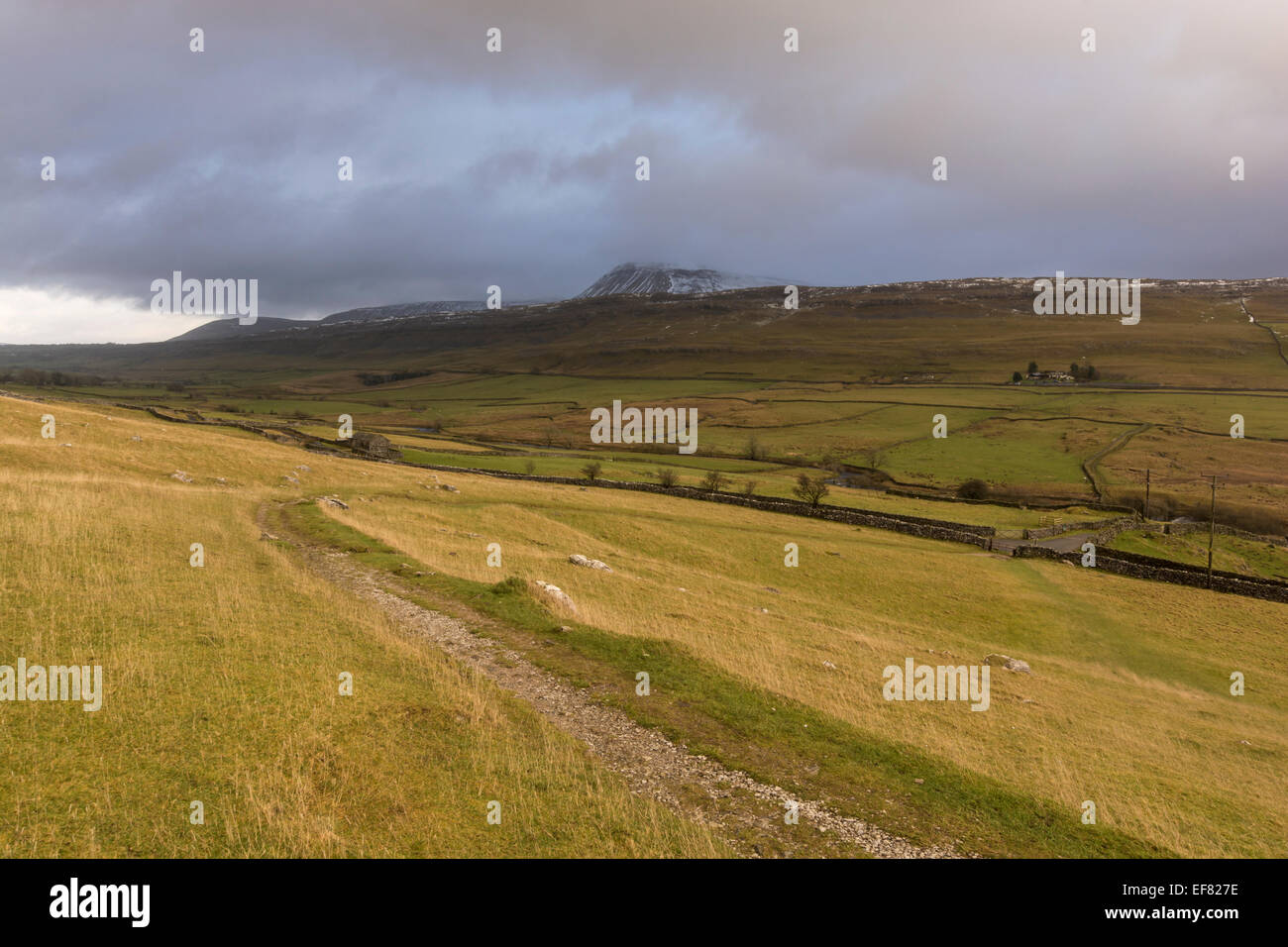 Ingleborough Hill in der Nähe von Ingleton, Yorkshire Dales, North Yorkshire, UK Stockfoto