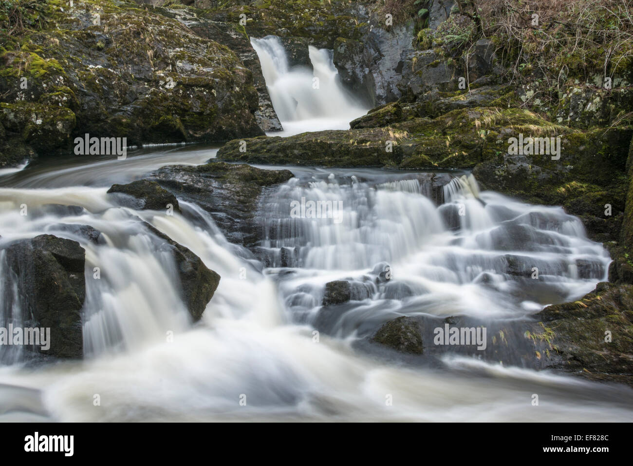 Rivalen fällt auf den berühmten Wasserfällen von Ingleton gehen in den Yorkshire Dales. Stockfoto