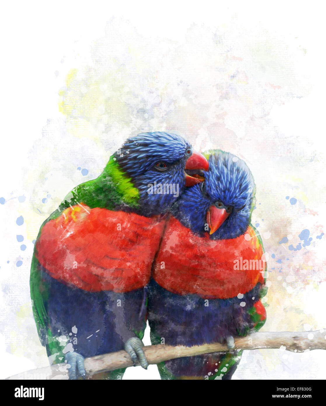 Digitale Malerei von Regenbogen Lorikeet Papageien Stockfoto
