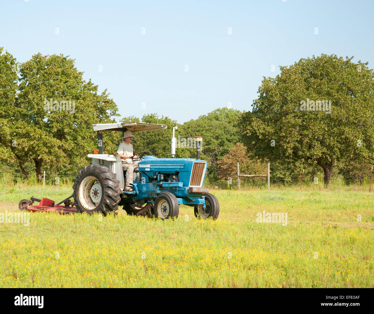 Mähen von Unkraut auf der Weide mit einem Traktor und einem Bush Hog mitten im Sommer Stockfoto