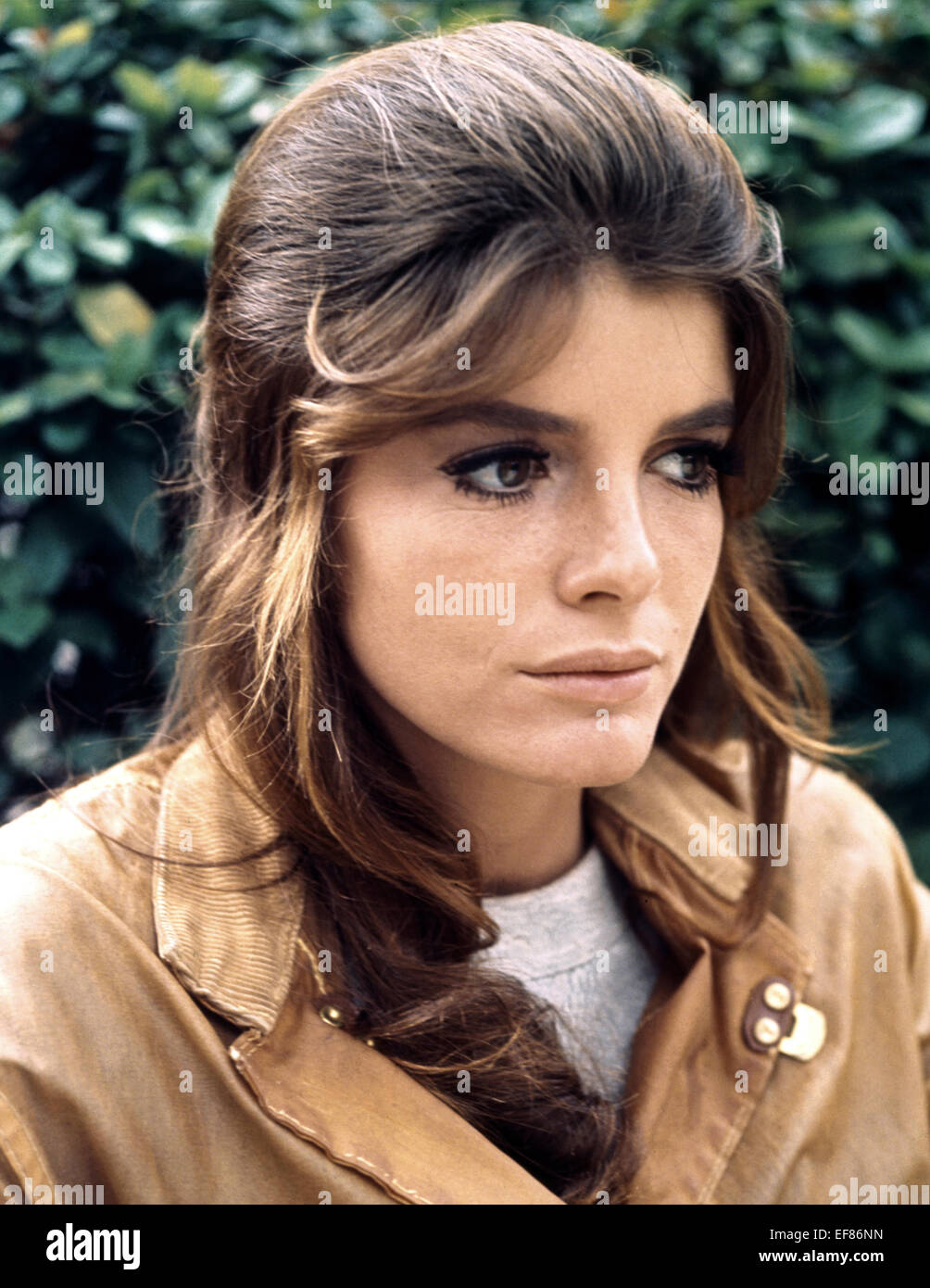 Katharine Ross Der Absolvent 1967 Stockfotografie Alamy