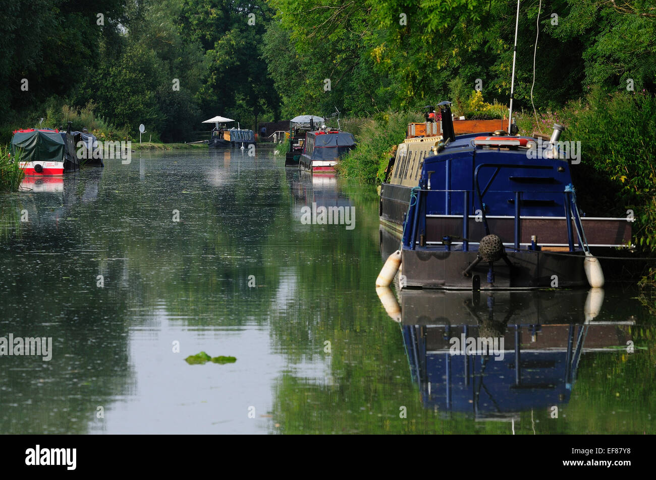 Ein Blick auf großes Bedwyn Kanal Wiltshire UK Stockfoto