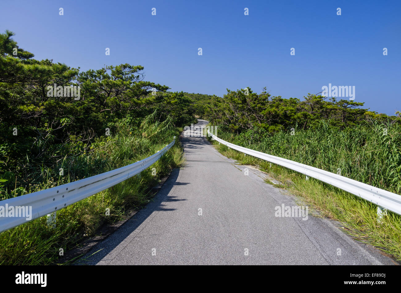 Landstraße auf Tokashiki Island, Okinawa-Japan Stockfoto