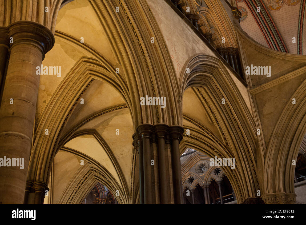 Gewölbte Decke, die Kathedrale von Salisbury, Wiltshire, England Stockfoto