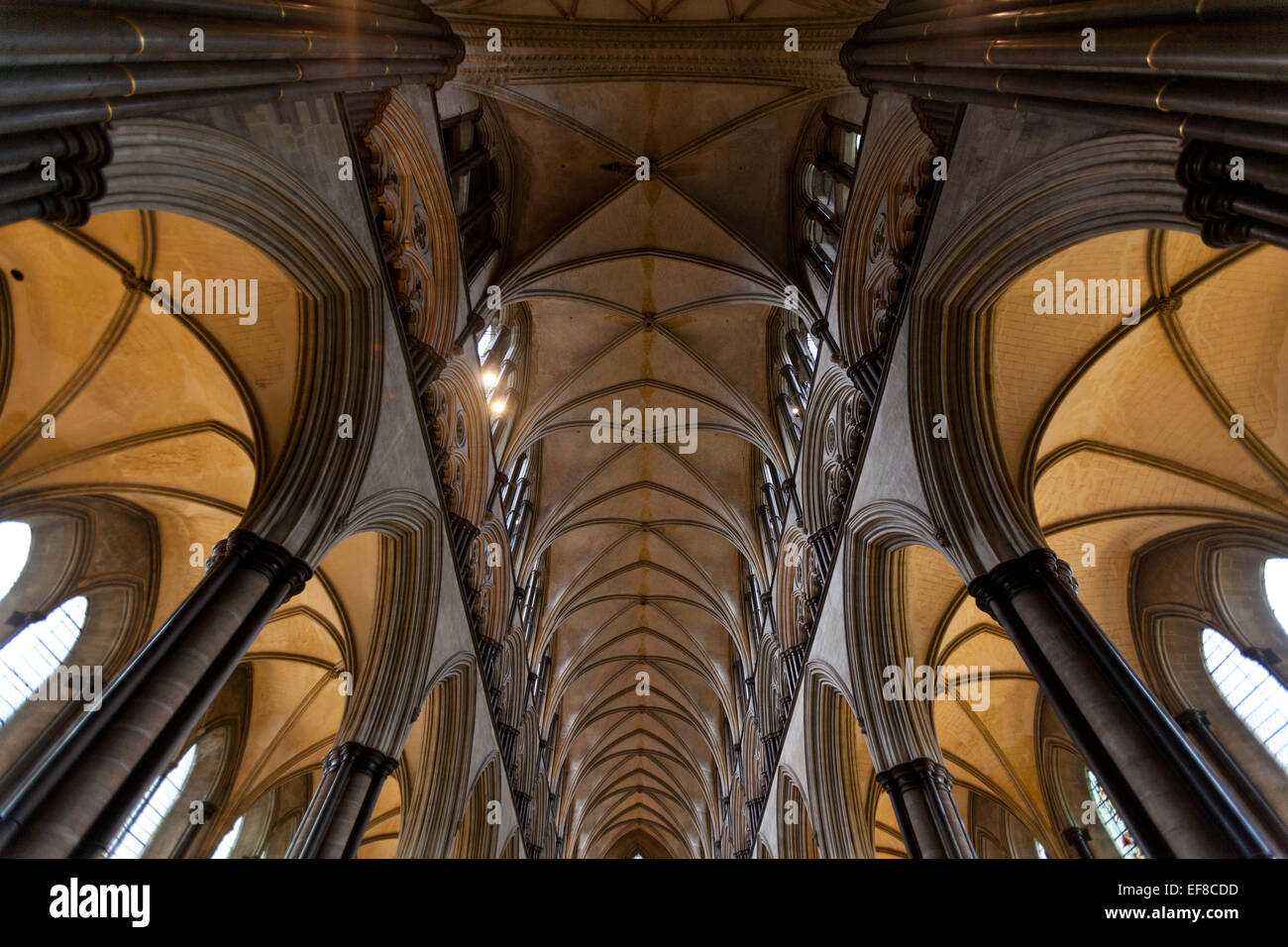 Gewölbte Decke, die Kathedrale von Salisbury, Wiltshire, England Stockfoto