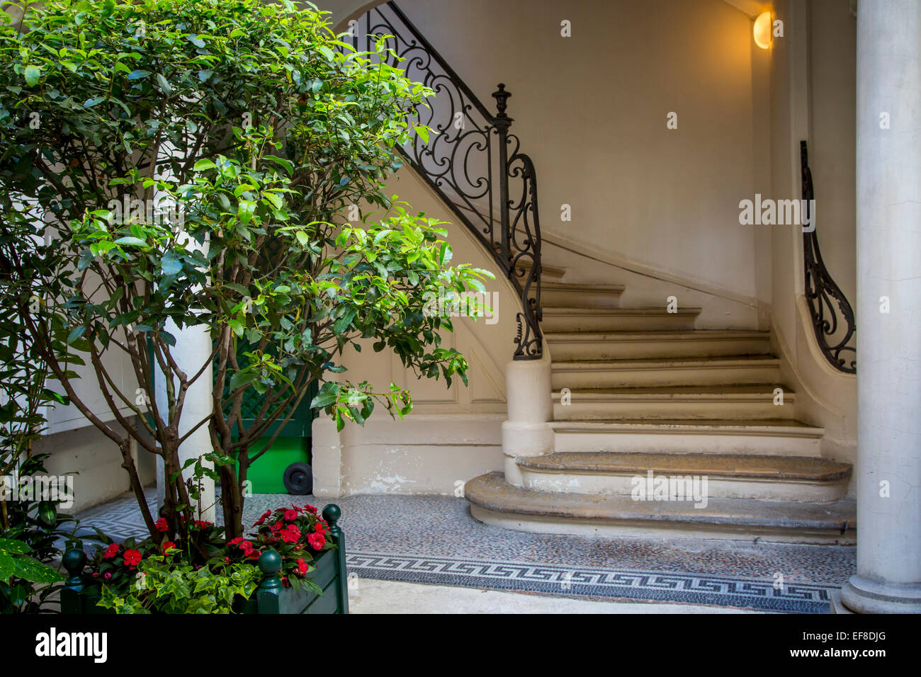 Geschwungene Treppe in Saint Germain des Prés, Paris, Frankreich Stockfoto