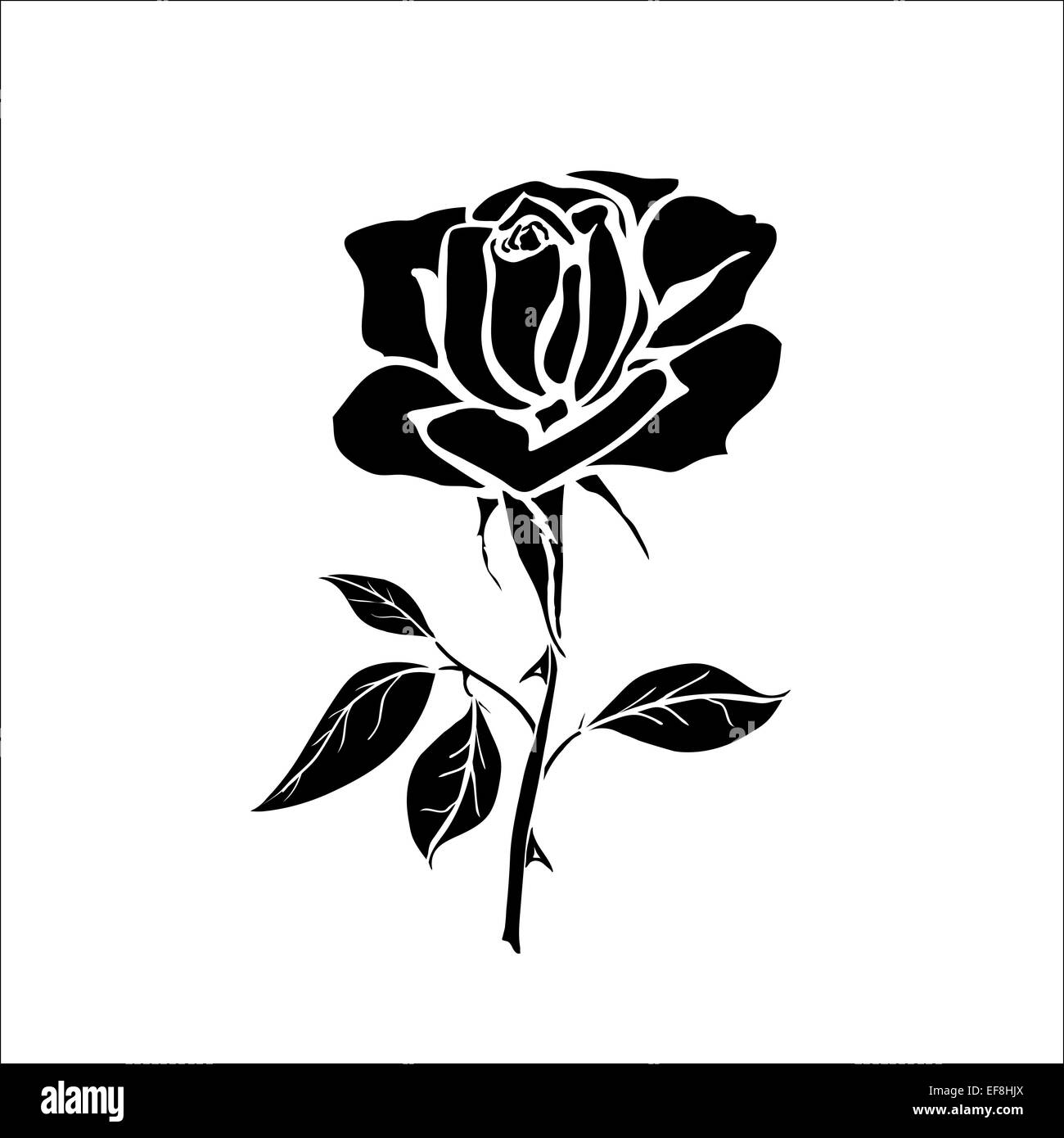 Black Vector Outline Rose Flower Stockfotos &amp; Black Vector