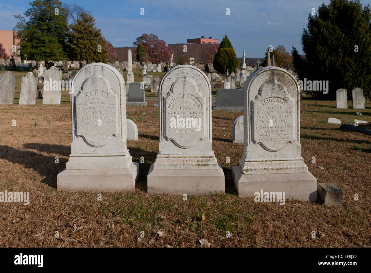 Alte Grabsteine auf dem Congressional Cemetery - Washington, DC USA Stockfoto
