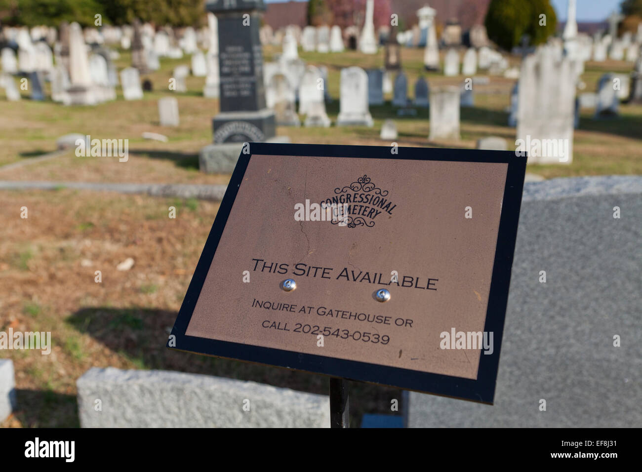 Grabstätte zur Verfügung Schild am Friedhof - Congressional Cemetery, Washington, DC USA Stockfoto