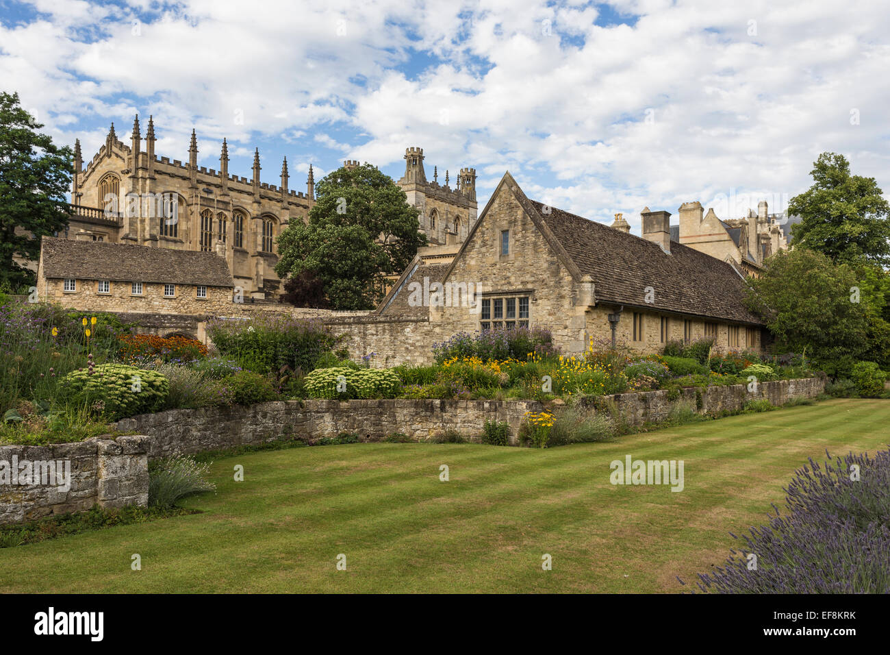 Wiese-Gebäude, Christ Church Cathedral, St. Aldate, Oxford, Oxfordshire, England, Vereinigtes Königreich Stockfoto