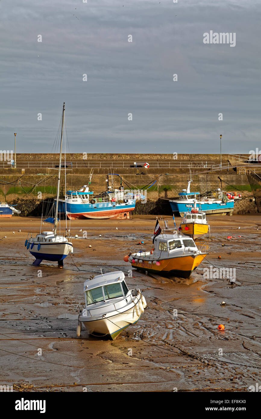 Hafen von bunte Booten im warmen Abendlicht bei Ebbe - Saundersfoot, Pembrokeshire Coast National Park, Wales. Stockfoto