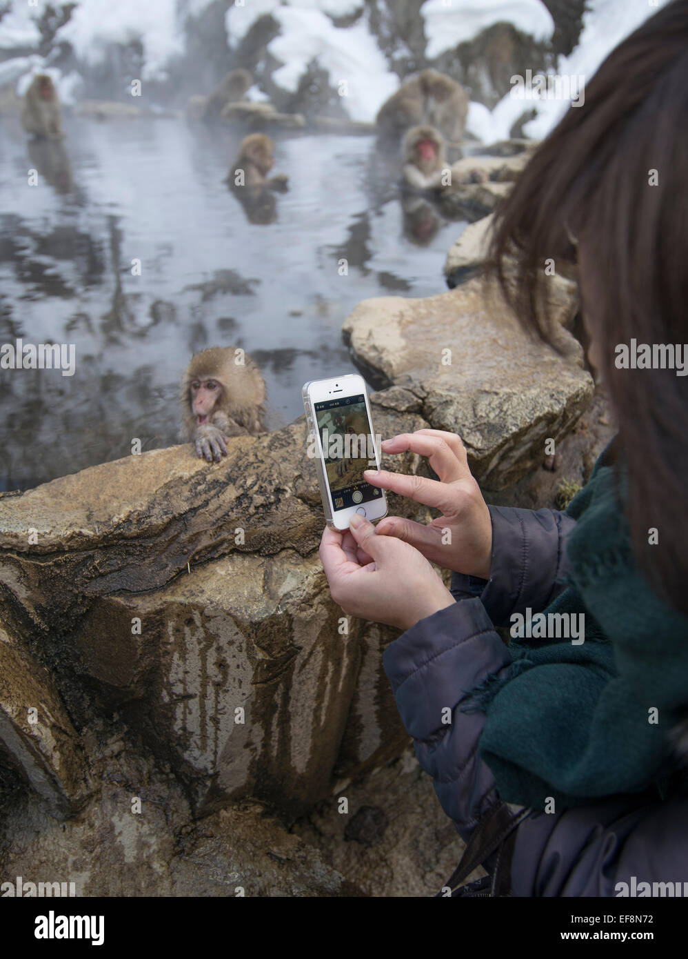 iPhone Foto der japanische Schneeaffen Baden in heißen Quellen Pools im Jigokudani Onsen, Präfektur Nagano, Japan Stockfoto