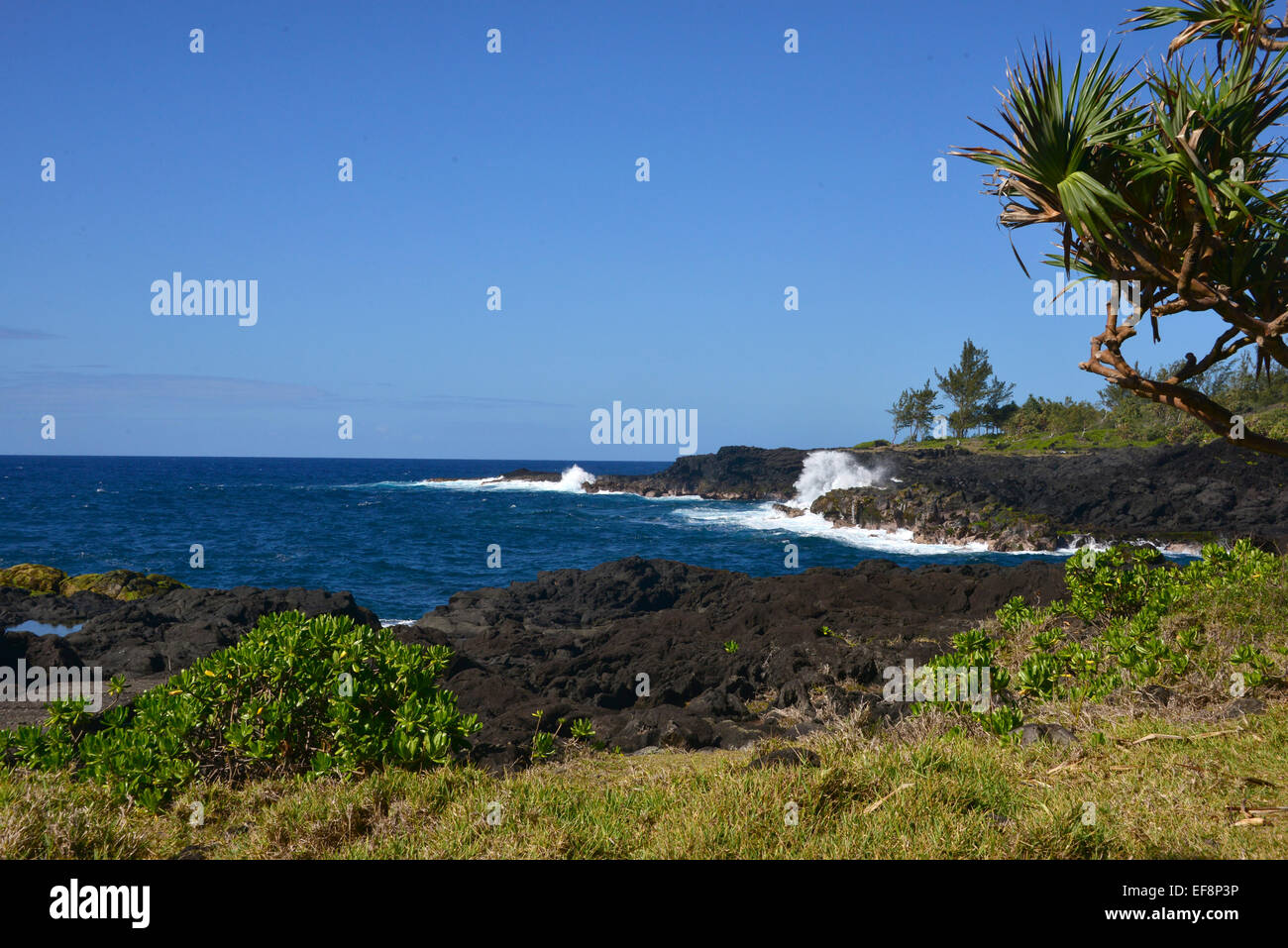 Vulkanischen Küste, Westküste, St Leu, Réunion Stockfoto