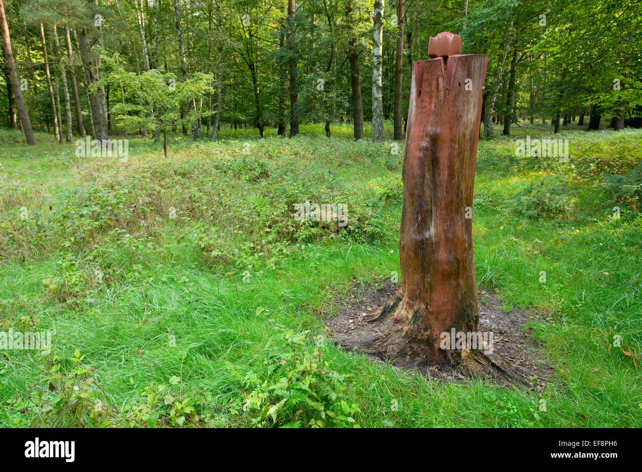Leckstein für Wildbret, Niedersachsen, Deutschland Stockfoto