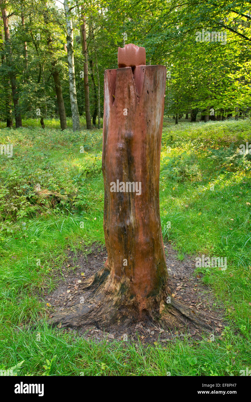 Leckstein für Wildbret, Niedersachsen, Deutschland Stockfoto