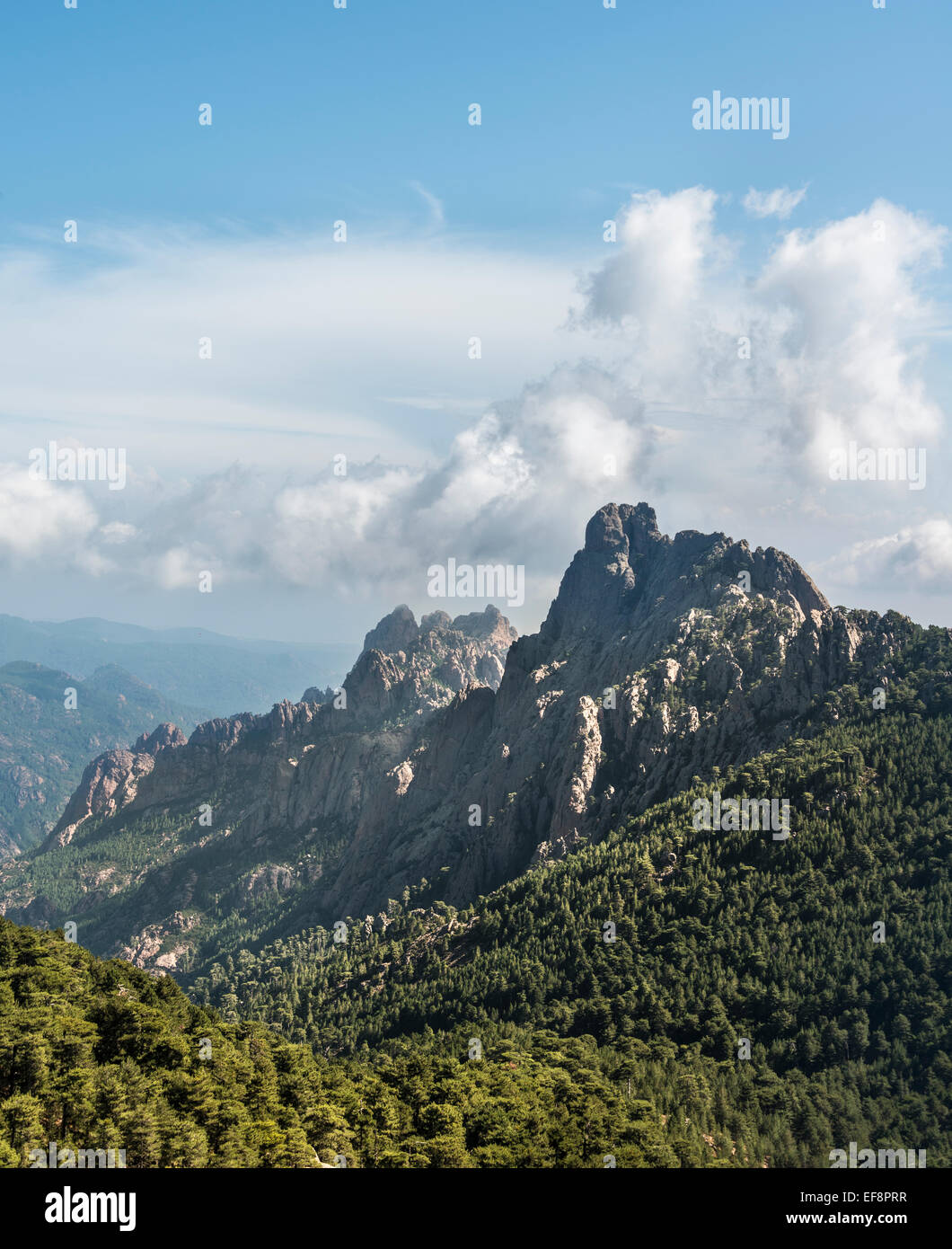 Felsigen Berggipfeln umgeben von Pinienwäldern, Col de Bavella, Bavella-massiv, Korsika, Frankreich Stockfoto