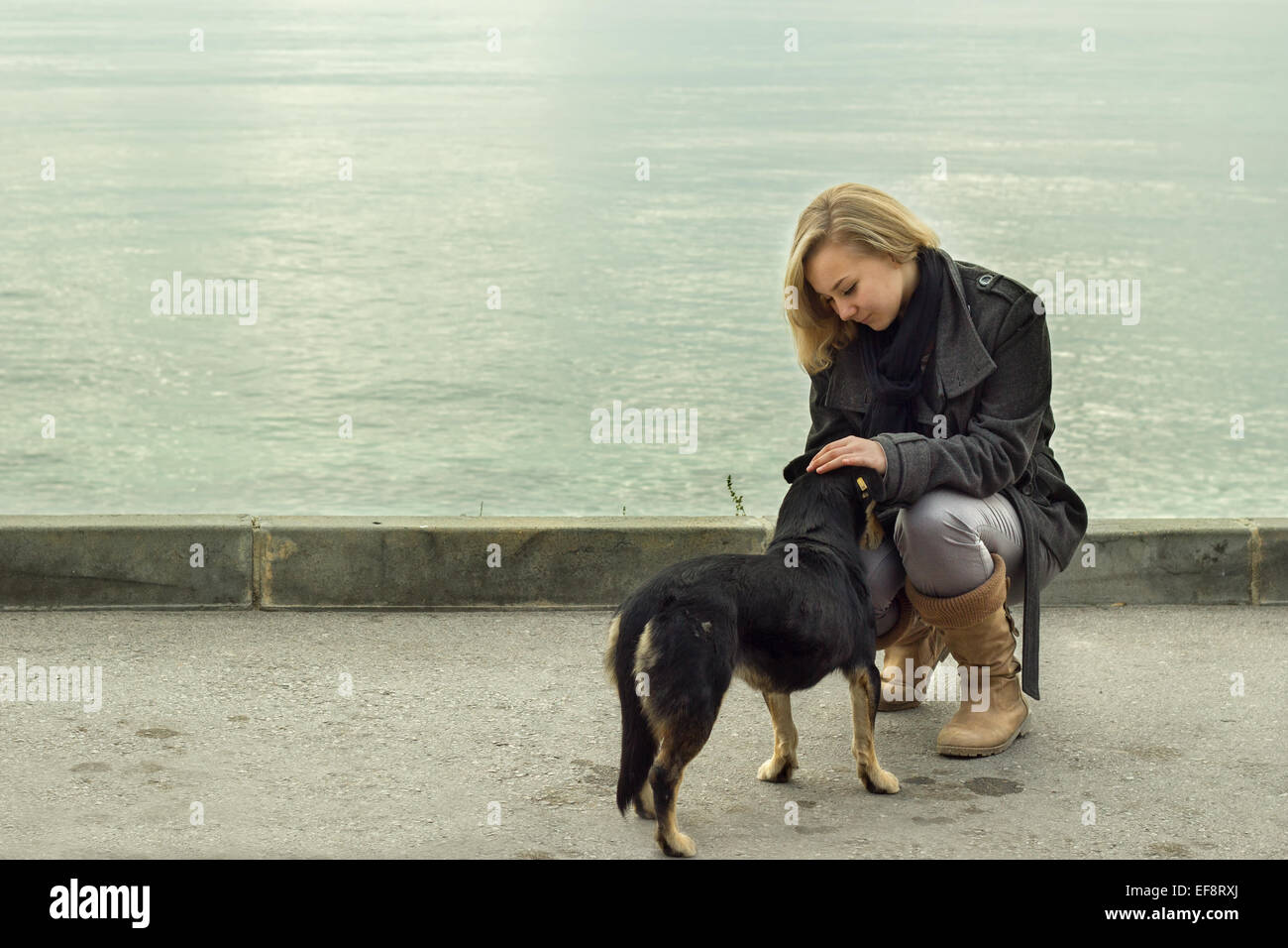 Mädchen (12-13) mit Hund im freien Stockfoto