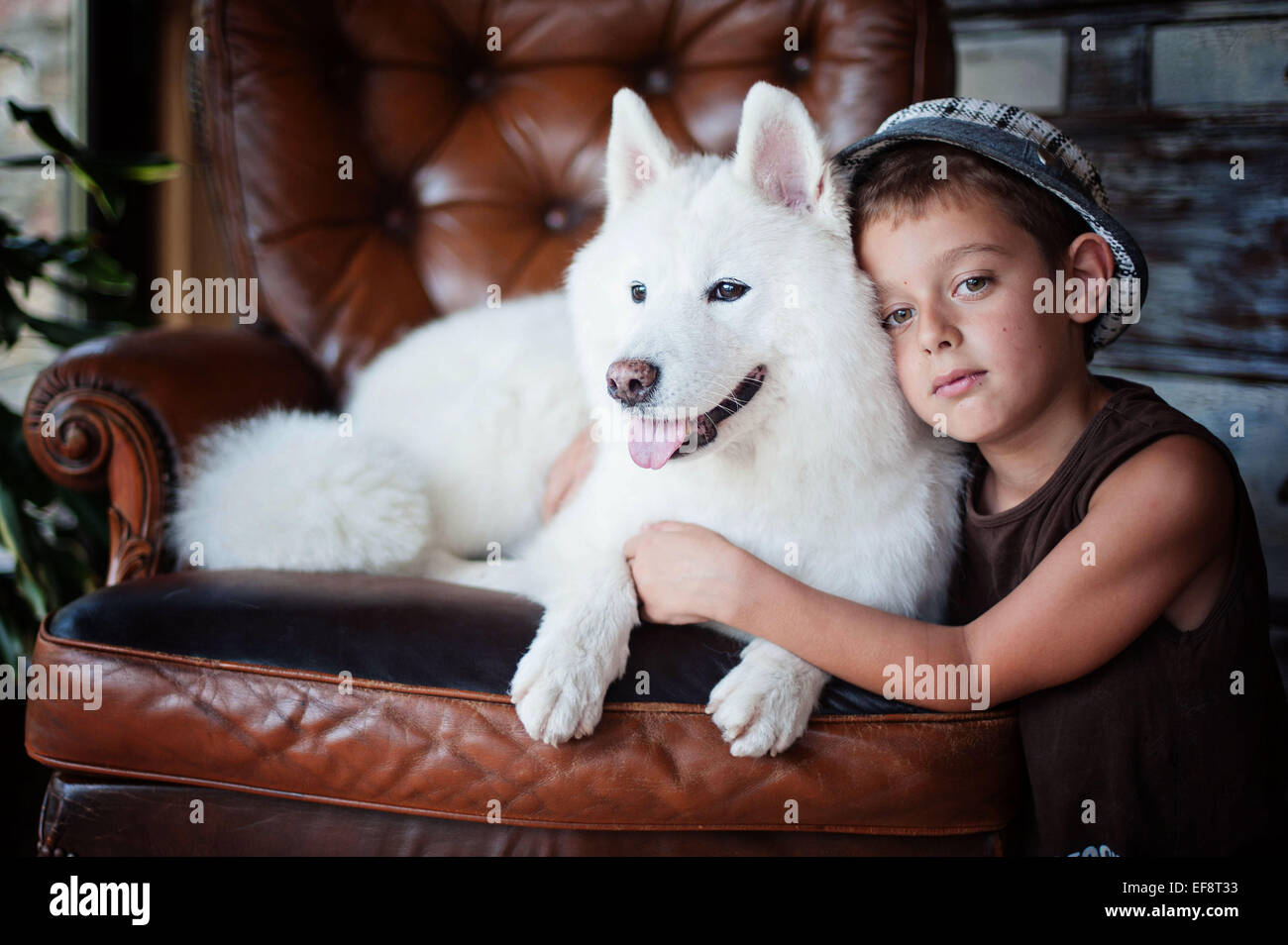 Porträt eines jungen (8-9) mit Samojeden Hund Stockfoto