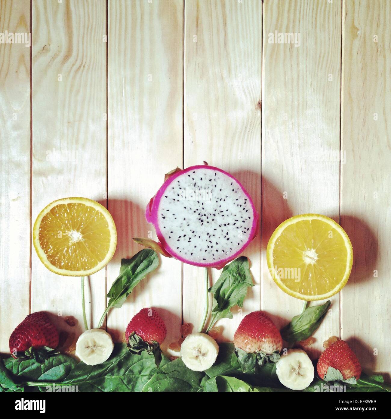 Konzeptionelle Zimmerpflanze wird bewässert Stockfoto