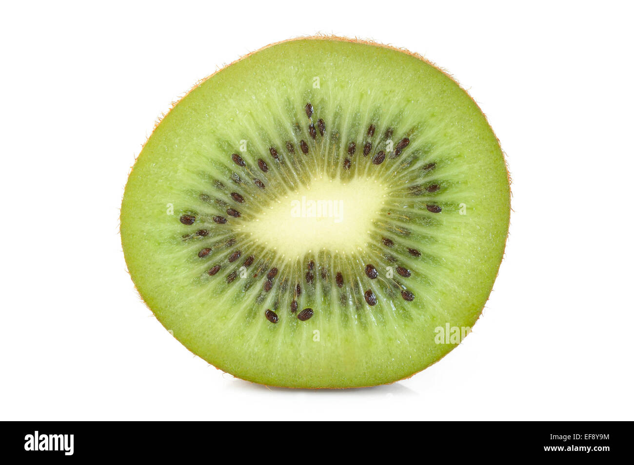 Kiwi FRUCHTSCHEIBEN auf weißem Hintergrund Stockfoto