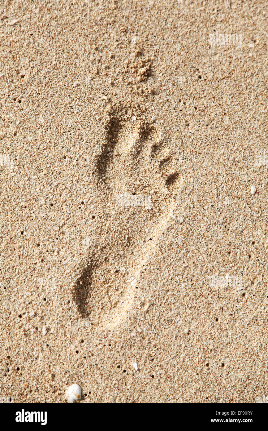 Einzelnen Fußabdruck im Sand. Stockfoto