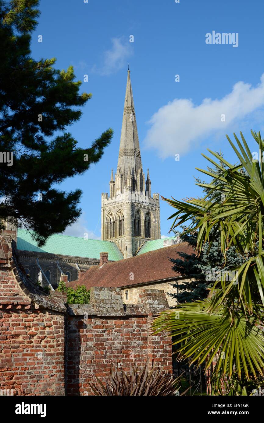 Chichester Kathedrale, der Turm und der Turm betrachtet von Bischöfen Garten. West Sussex. England Stockfoto