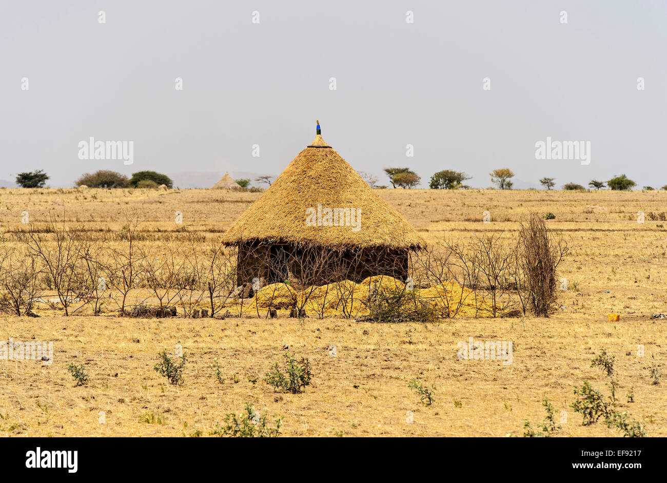 Runde oromo Hütte mit Strohdach, arsi, oromiya, Äthiopien Stockfoto
