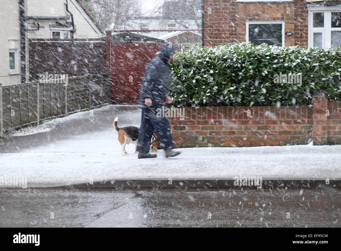 Starke Schneeschauer machen das Autofahren gefährlich in den East Midlands. Stockfoto