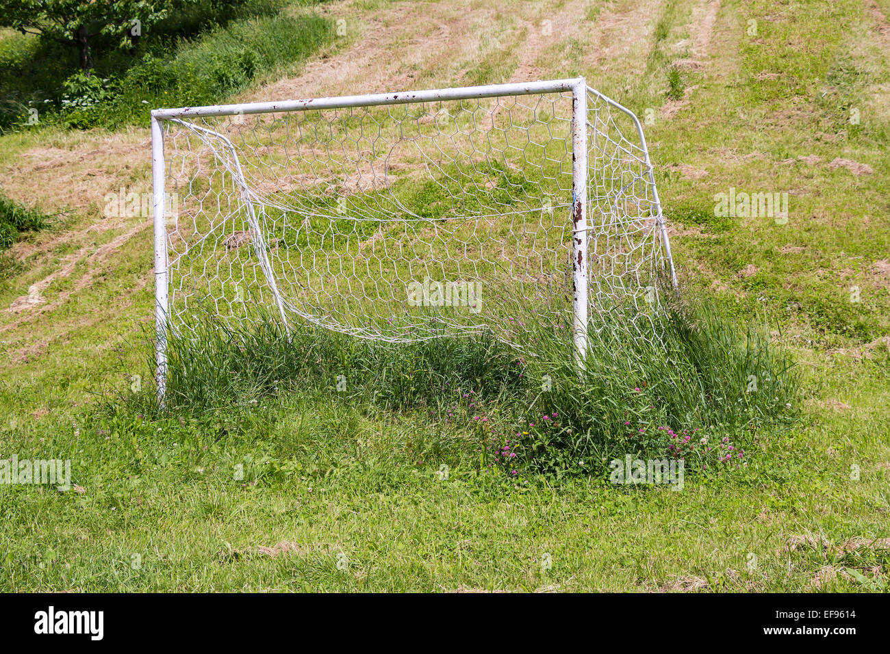 Vernachlässigte Fußball Goall auf eine ungeschnittene Rasen Stockfoto