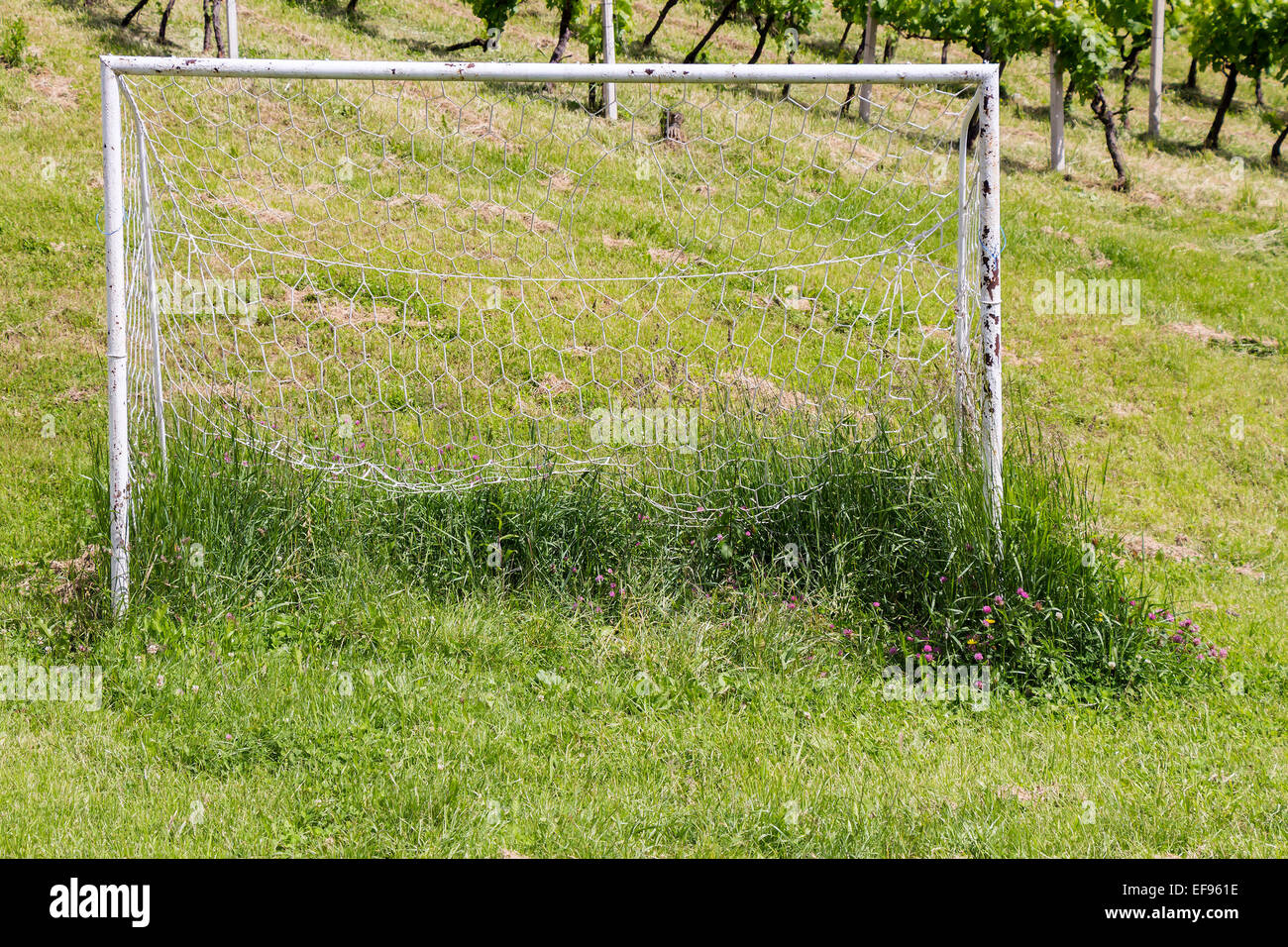Vernachlässigte Fußball Goall auf eine ungeschnittene Rasen Stockfoto