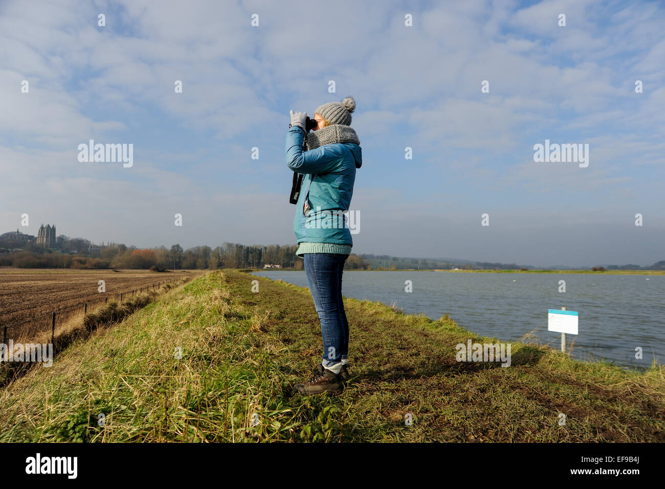 Frau Vogelbeobachtung mit dem Fernglas am Ufer des Fluss Adur in Shoreham UK Stockfoto