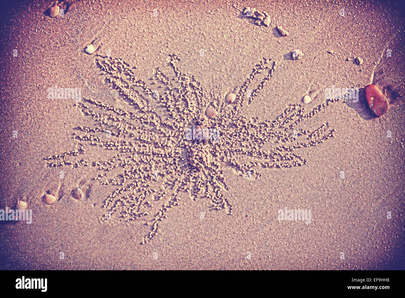 Jahrgang gefiltert Strand Natur Hintergrund. Stockfoto