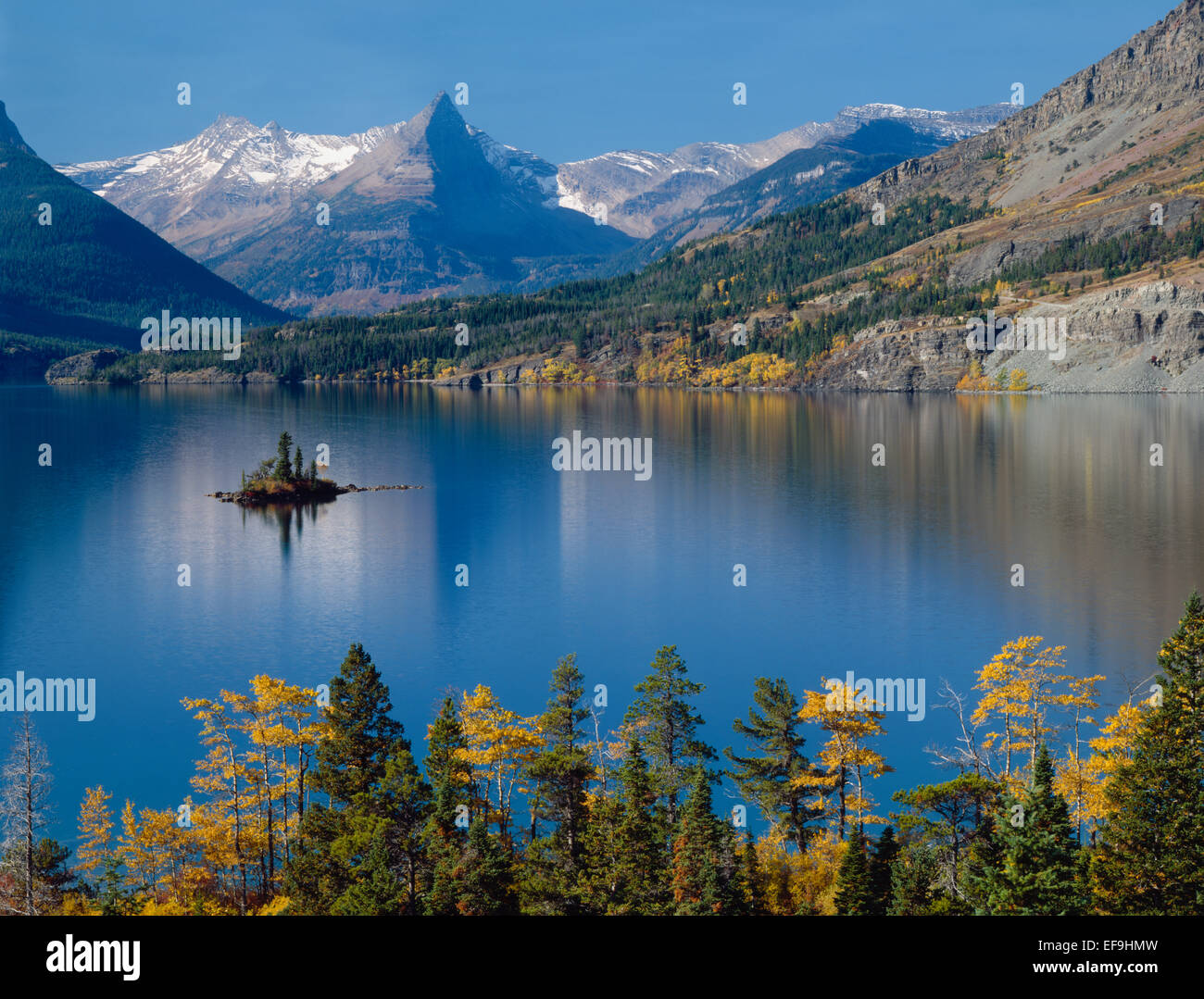 Farben des Herbstes rund um St. Mary Lake, Glacier National Park, Montana, USA Stockfoto
