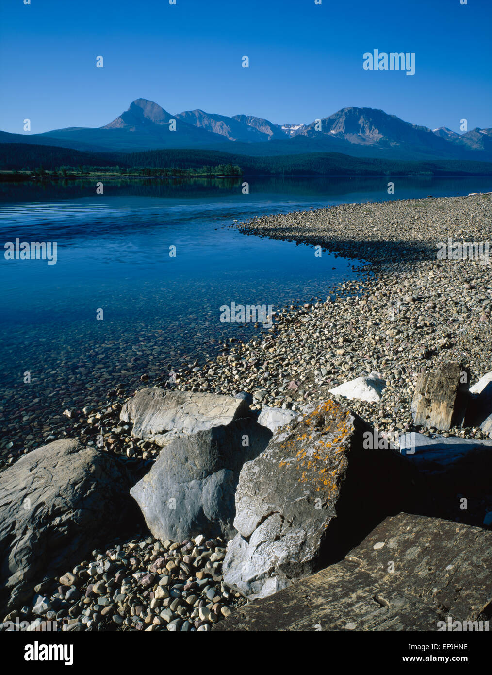 Felsen am Ufer des St. Mary Lake an einem klaren Morgen, Glacier National Park, Montana, USA Stockfoto