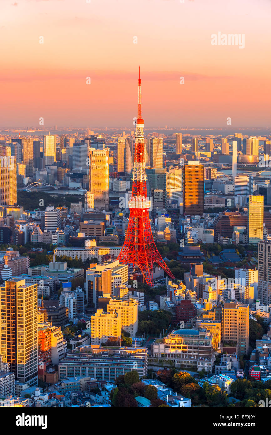 Blick auf Skyline von Tokyo, Tokio. Stockfoto