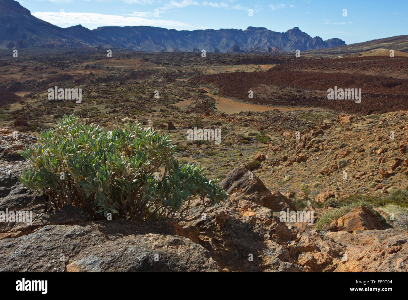 Die Caldera in Las Cañadas del Teide, Teide-Nationalpark, Weltkulturerbe der UNESCO, Teneriffa Stockfoto