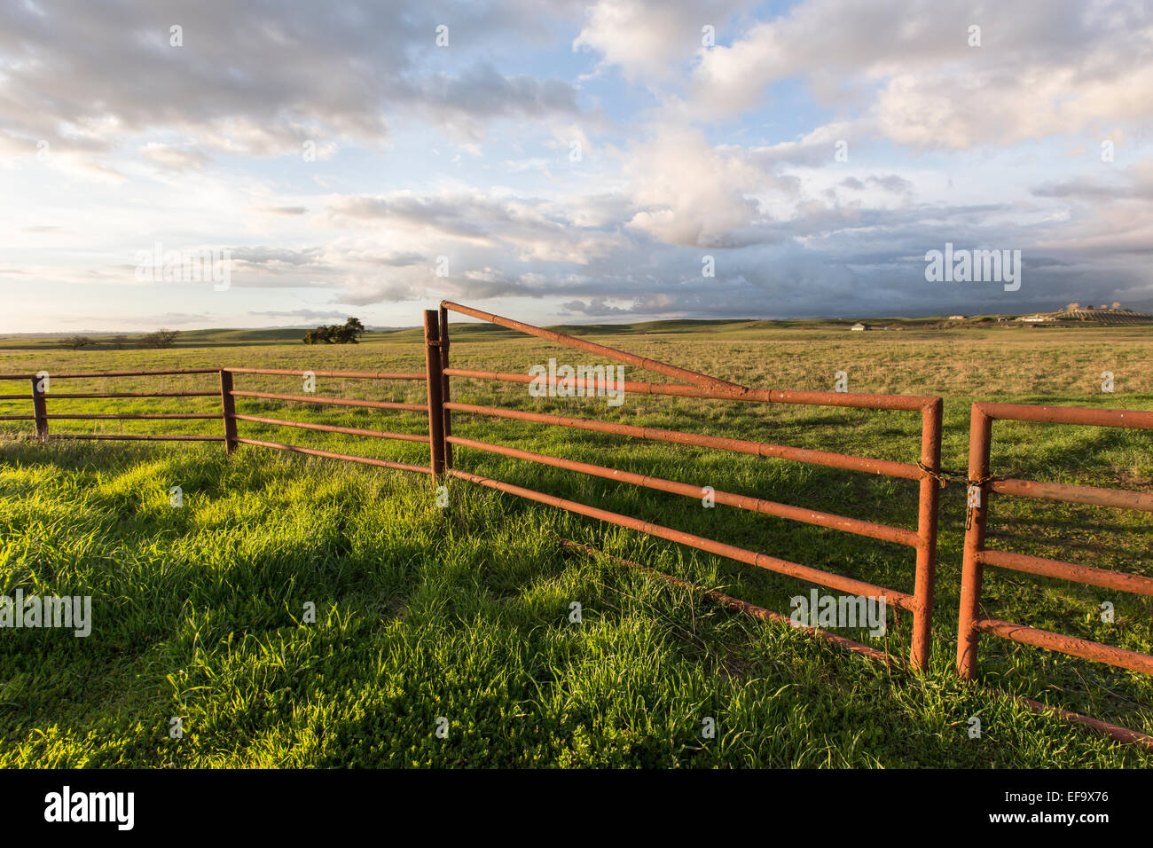 Roten Metalltor Ranch in einer grünen Weide unter Wolken. Stockfoto