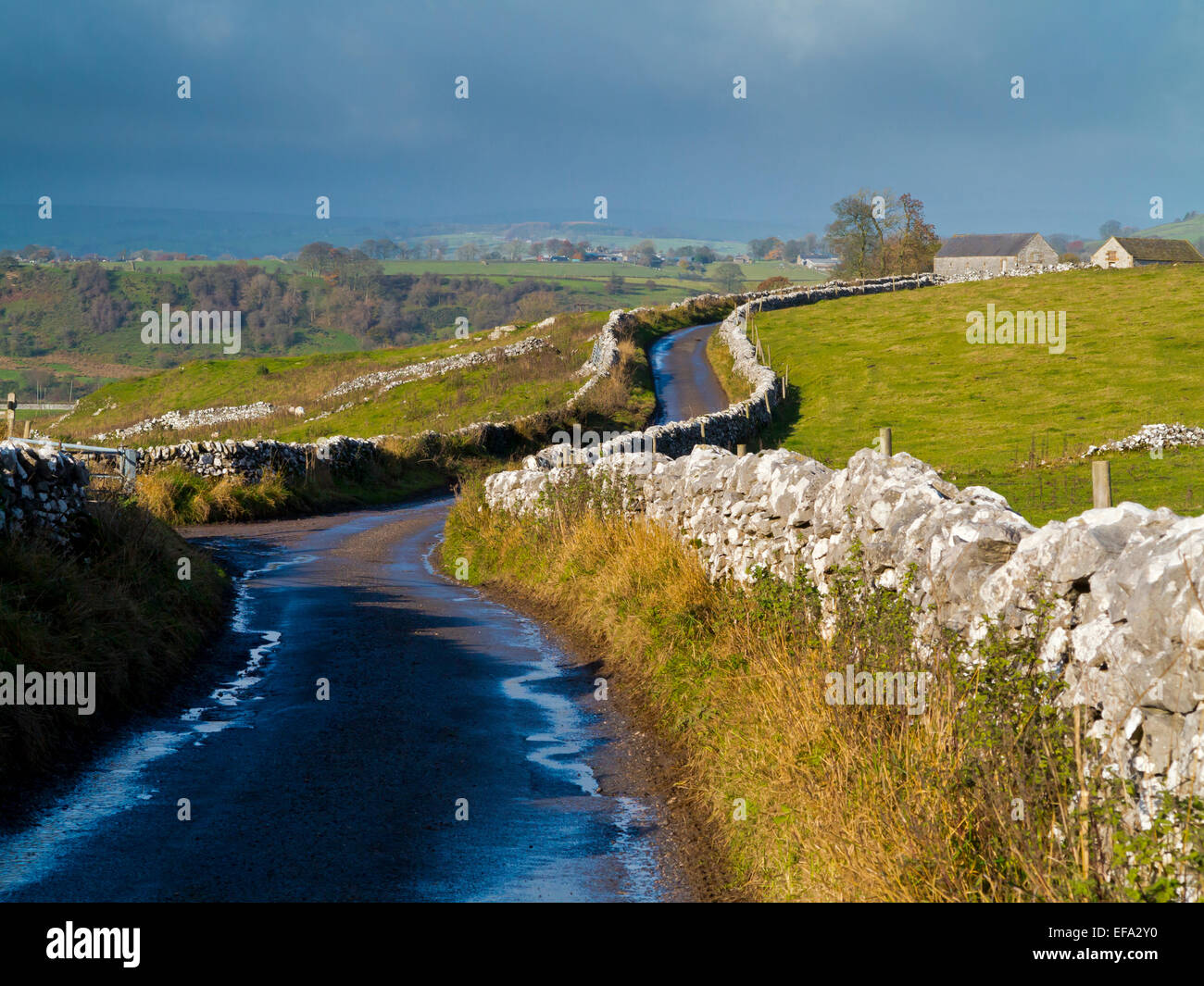 Feldweg mit Trockensteinmauern und Bäume in der Nähe von Hartington im Peak District Nationalpark Derbyshire Dales England UK Stockfoto